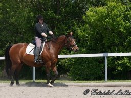 img-99861-626